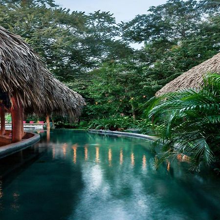 The Space Jungle Oasis San Juan del Sur Exteriör bild